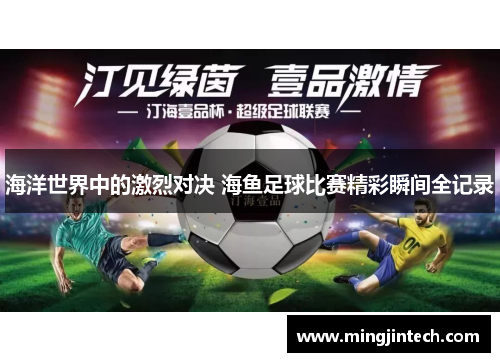 海洋世界中的激烈对决 海鱼足球比赛精彩瞬间全记录